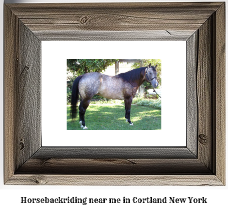 horseback riding near me in Cortland, New York